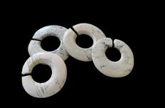 小南山遗址考古发掘亲历记