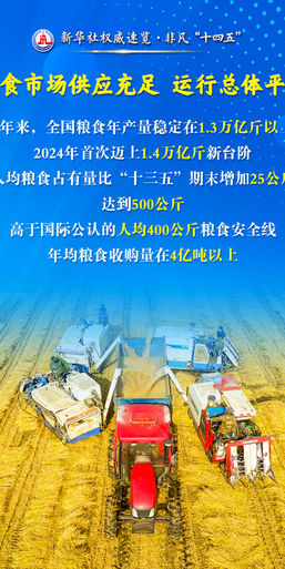 非凡“十四五”丨保障国家粮食安全，他们这样干！