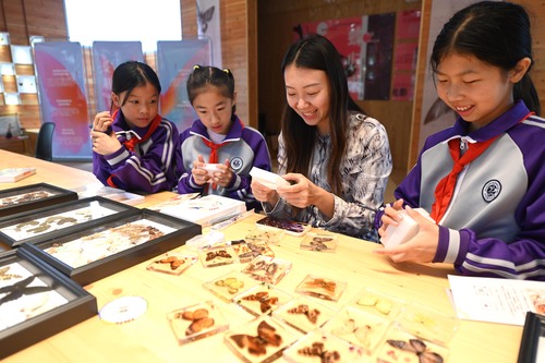 (10月21日 民生?教育)(主版图1)(8452970)-20251021091154 (10月21日 民生?教育)(主版图1)(8452970)-20251021091154