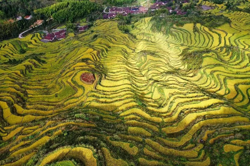 wechat_2025-10-27_150528_592 wechat_2025-10-27_150528_592