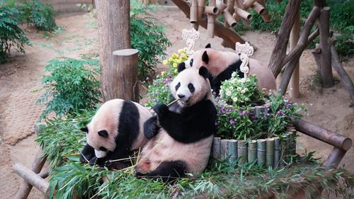 MBf7U7SaVkdY2JBc MBf7U7SaVkdY2JBc