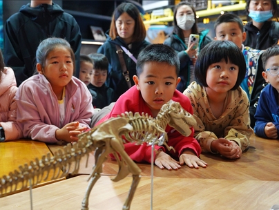 中国科学院第八届科学节——中国科学院古脊椎动物与古人类研究所活动在世园拉开帷幕