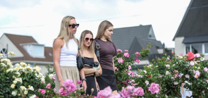 新西兰：鲜花盛放引游人