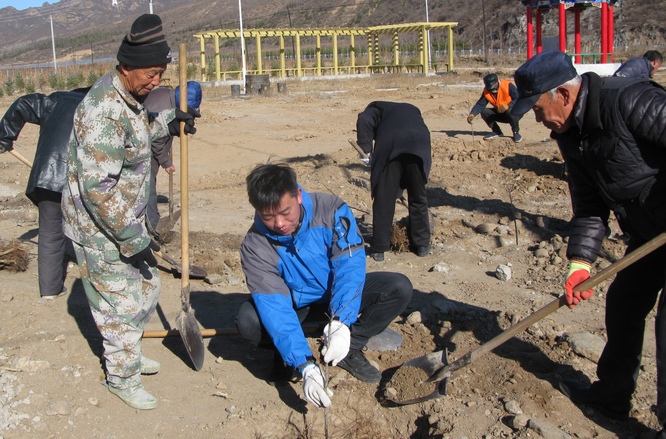 浸润在泥土中的初心，最美丽 ——读《驻村记忆》有感