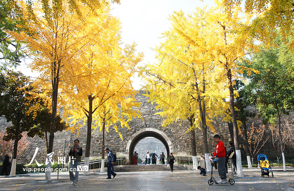 MAIN1763946028315QSQCBX0MQB