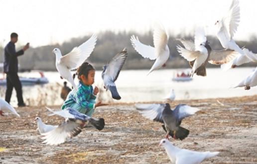 打造全新生态休闲空间