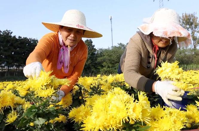 希望的田野上，奋斗正当时