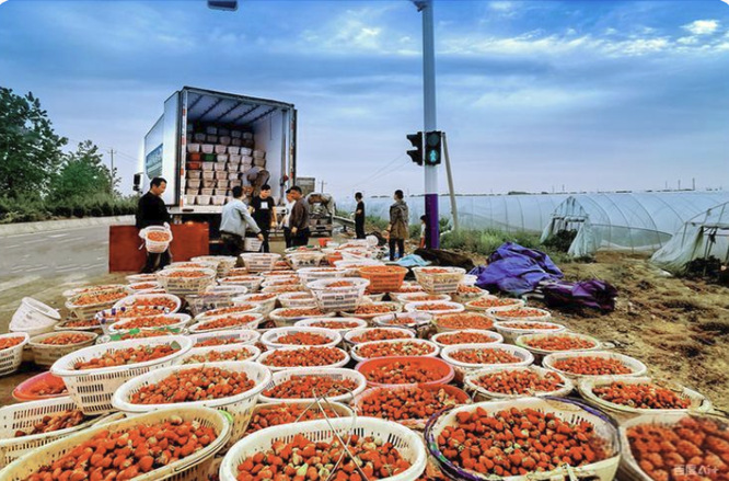 绘就色彩斑斓的县域经济新图景