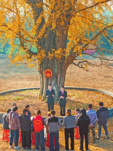 8b94240466a4933cf5d8de90514df355