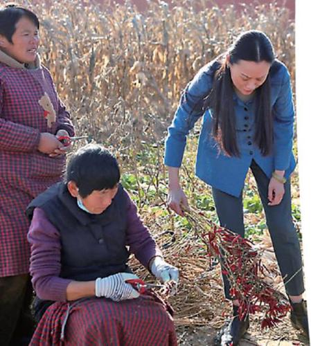 360截图20251204111855313 360截图20251204111855313