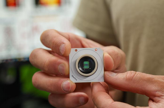 类器官研究揭示大脑天生预置“操作系统”