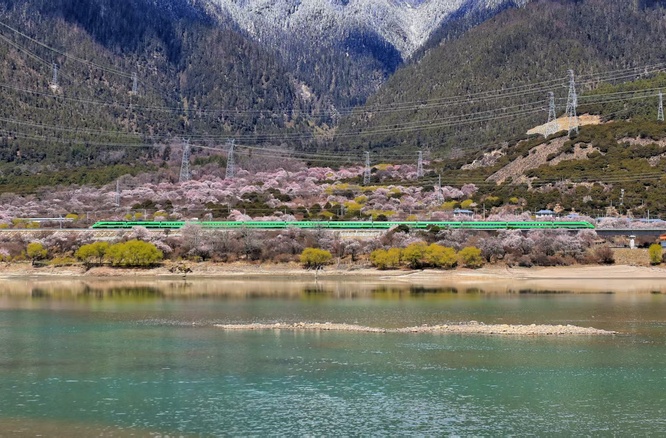一条“天路”串起藏东南的幸福日常（沿着铁路看变化）