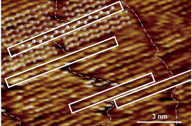 我国学者在蛋白质相互作用中发现“榫卯”结构