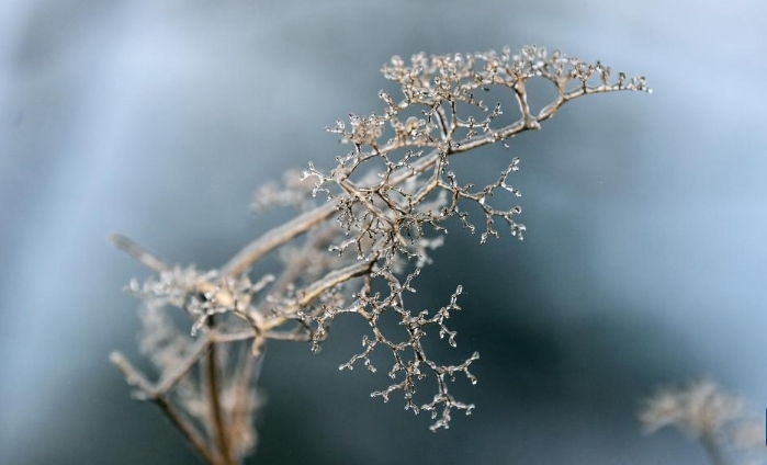 广西三江：冰凌美如画