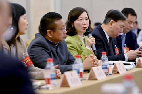 苗绿委员发言，就吸引高水平的国际青年人才来京创新创业发言