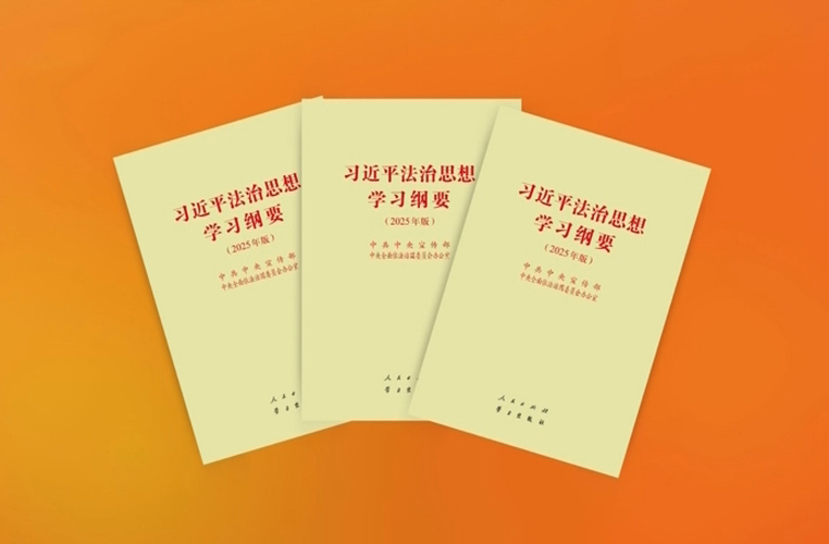 加快推进涉外法治体系和能力建设