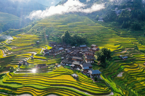 （国是 乡村振兴）加榜梯田“丰”景如画(9251928)-20260130093349