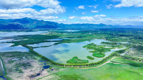 北京野鸭湖国家湿地公园(9310491)-20260206091456