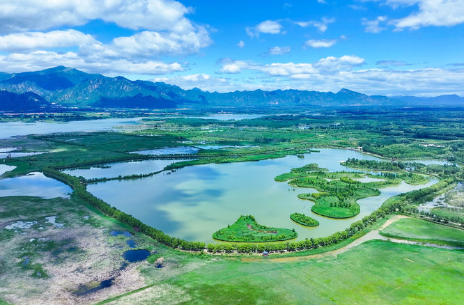 守一片湿地，润万物生灵
