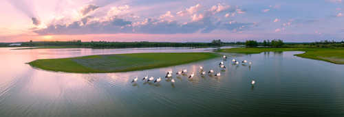 安徽升金湖国际重要湿地(9310485)-20260206091437