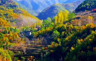 山西：推进农业提质　建设和美乡村