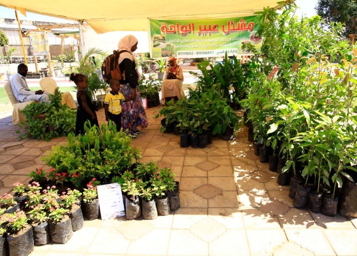 苏丹迎来近三年来首个花卉节