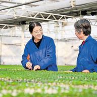 “田间保姆”张莎莎：让育苗大棚更“聪明”