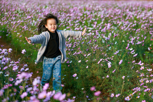 来云南，赴一场与春天的约会（8）#(9359075)-20260213091910