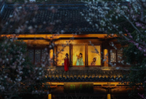 杭州赏梅胜地开启特色夜游赏梅活动