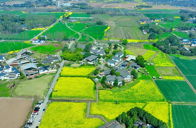 把农业建成现代化大产业