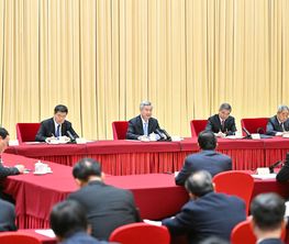 李希参加了中共界委员联组会