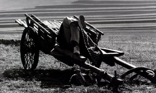 0120220161 0120220161