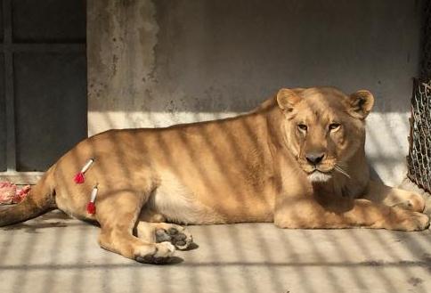 1458301592414824 1458301592414824