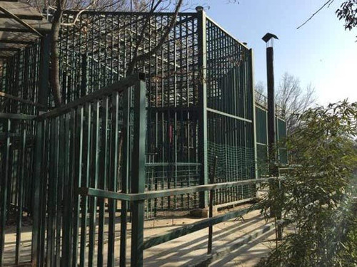 145654945108608181 145654945108608181