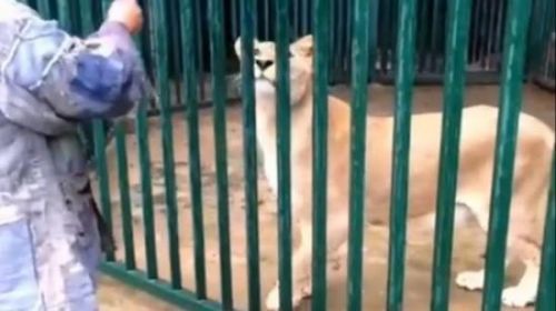 1458304471574 1458304471574