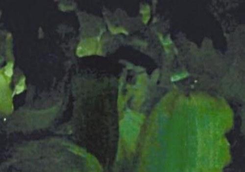 房祖名恋上19岁嫩模