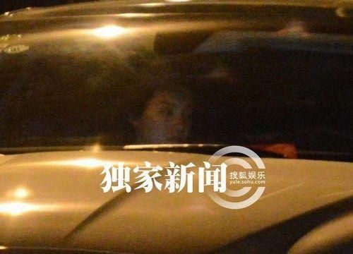 蒋雯丽法国偷情现实版娘要嫁人？盘点明星偷情被拍提裤瞬间【2】