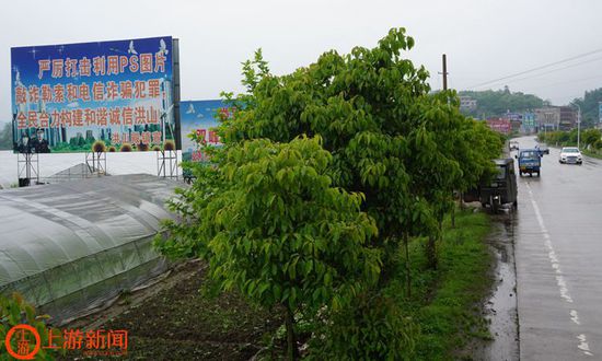 图4 娄底到双峰的省道上，打击PS敲诈勒索的大型宣传牌很醒目.JPG