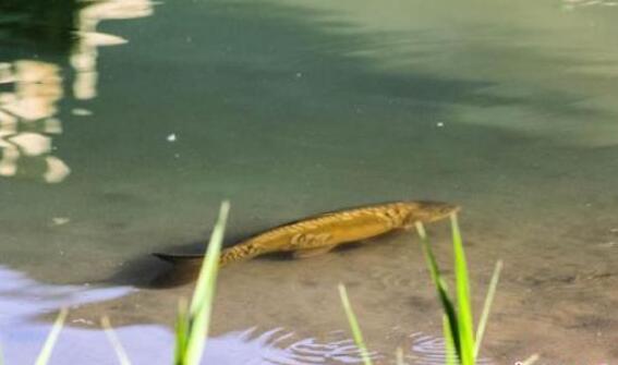 QQ截图20160503083942 QQ截图20160503083942