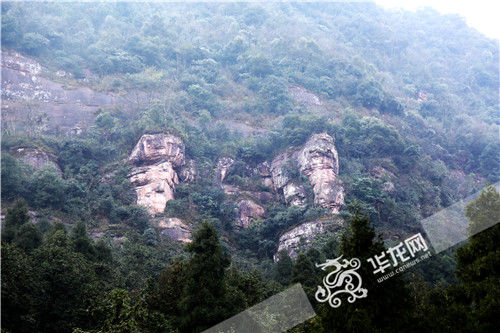 爷孙三代都是双胞胎！重庆一个村出了39对双胞胎待解谜