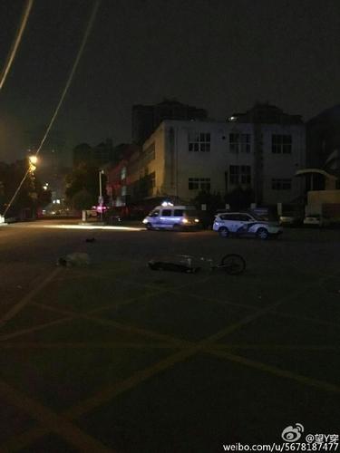 流浪狗围在老奶奶身边，都不舍得走。1