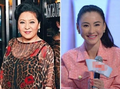 向太再讽张柏芝很会做戏 爆料内容与刘德华一致