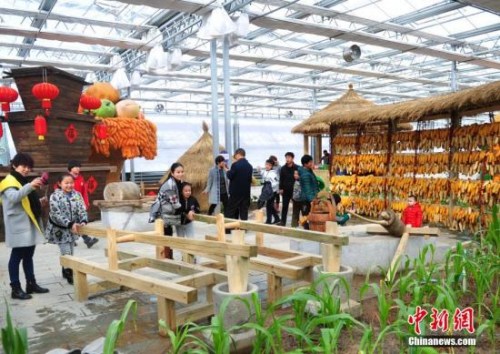 资料图。<a target='_blank' href='http://www.chinanews.com/'>中新社</a>记者 翟羽佳 摄