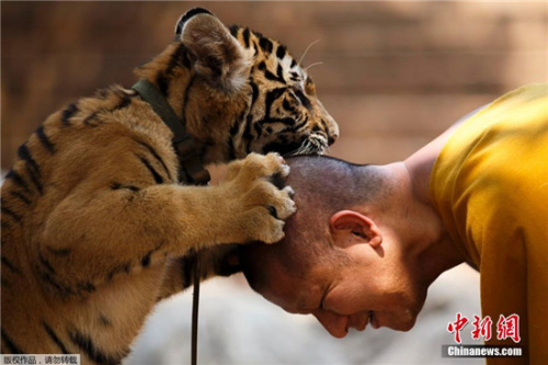 点击进入下一页