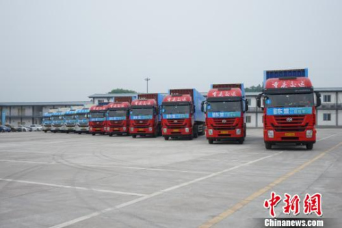 资料图。图为准备发车的10辆标准集装箱大卡车?！≈屿?摄