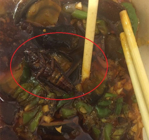 多地外卖需贴“安全食用时限”标签 你注意过吗？