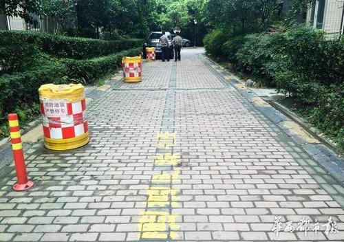 成都一司机不慎碾死小狗 称被逼套狗链给狗下跪