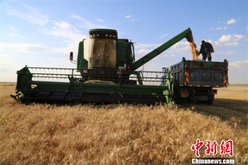 资料图 贾理江 摄 点击进入下一页