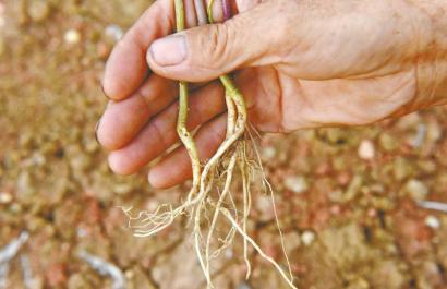 -puK-fxutfpk4864941 -puK-fxutfpk4864941